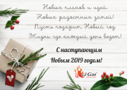 Режим работы в Новогодние праздники 2019 г.